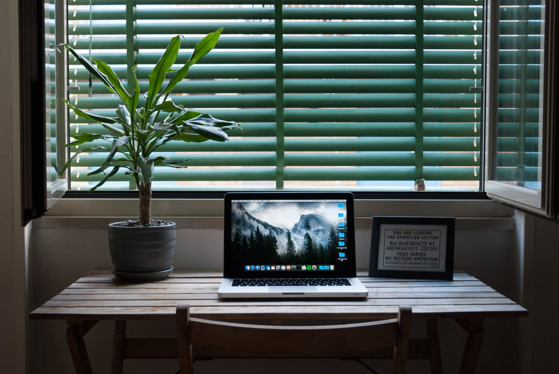 Laptop on a light wood desk with forest background. A large plant sites next to it, both in front of blinds.