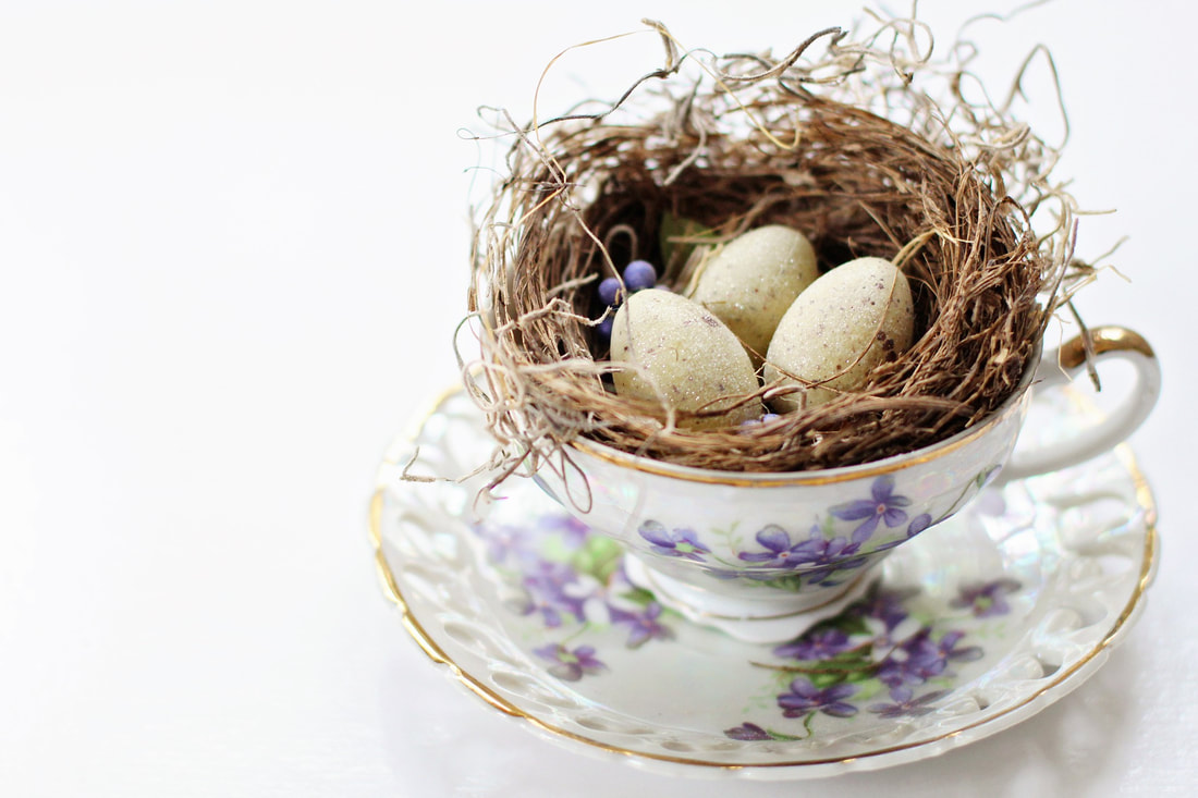 Bird's nest in a teacup